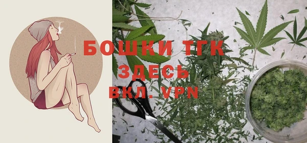 твердый Балахна