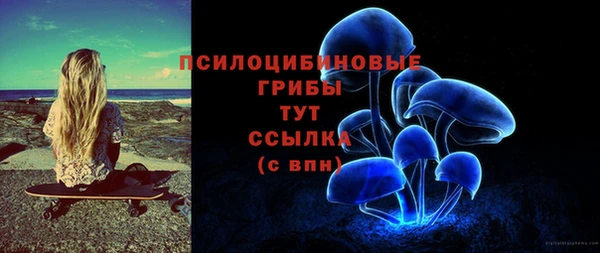 твердый Балахна